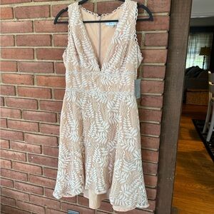 Adelyn Rae Cream Fit and Flare Midi Dress